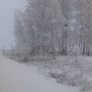 Родные просторы