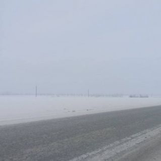 Дорога домой