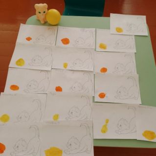 Забава для котят