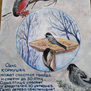 Покормите птиц зимой!
