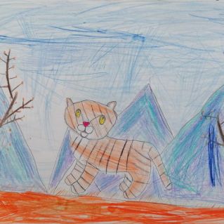 Прогулка тигра