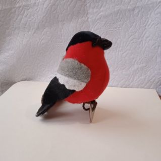 "Зимний гость"