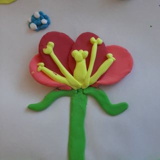 "Строение цветка"