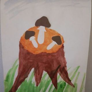 Грибы на пеньке