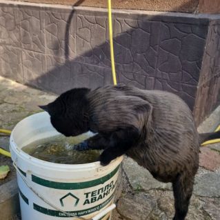 Ловись рыбка