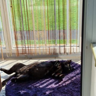 Наконец то лето!!