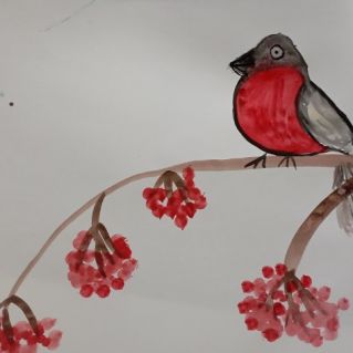 Снегирь зимой