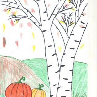 Тыквенный урожай