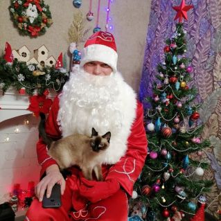 "Дед Мороз и кошка Муся"