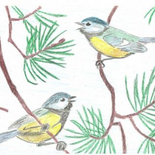 Синицы-озорницы