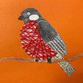 Яркая грудка