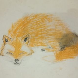 Лиса на снегу