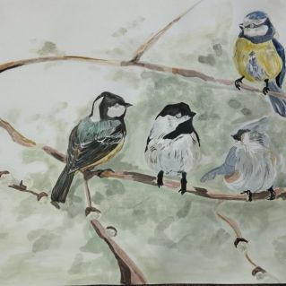 "Синички - зимние птички"