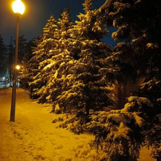 Дорога в Зимнюю сказку