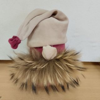 "Новогодний гость"