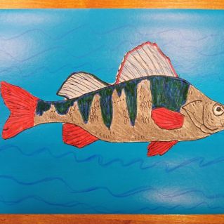 "Речной окунь - охраняемое животное в ХМАО-Югре"