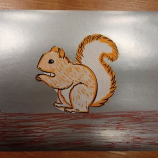 "Белка обыкновенная - охраняемое животное в ХМАО-Югре"