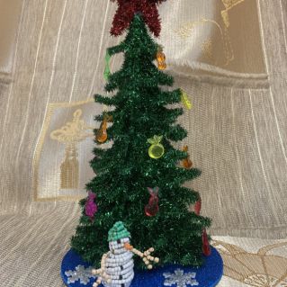 "Новогодняя красавица"