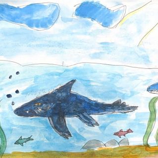 Морская жизнь