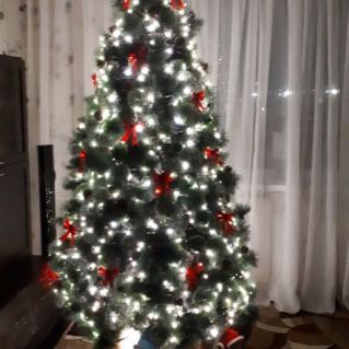 Моя любимая  ёлка