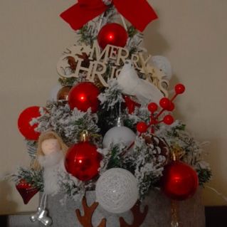 Моя любимая ёлочка