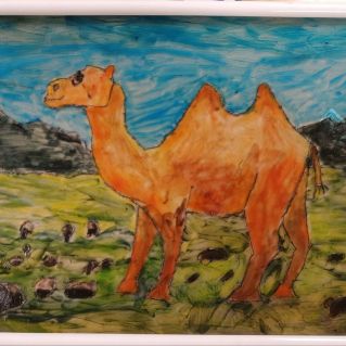 Верблюд