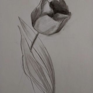 Цветы - это моё настроение