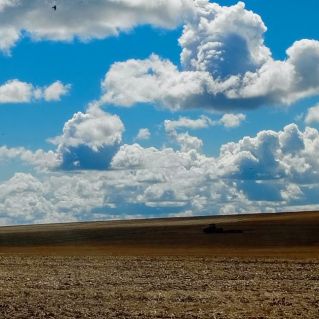 Русское поле