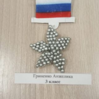 Медаль "Герой России"