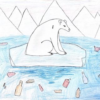 Мир диких животных