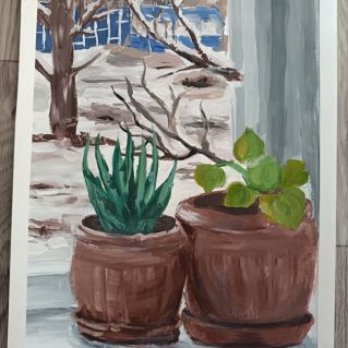 Зима за окном