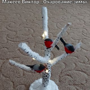 Очарование зимы