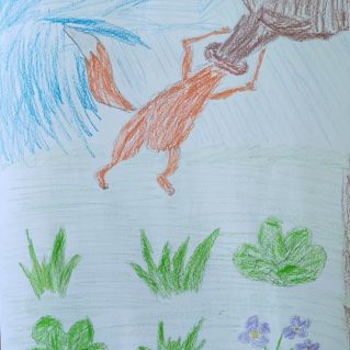 "Лиса и кувшин"