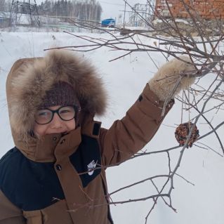 Экокормушка