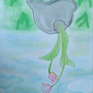 "Спасибо за мирное небо"