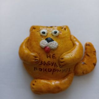 Упитанный и воспитанный котик