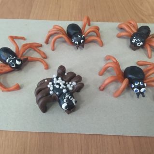 В мире пауков