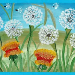 "Одуванчики"