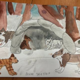 Волки зимуют