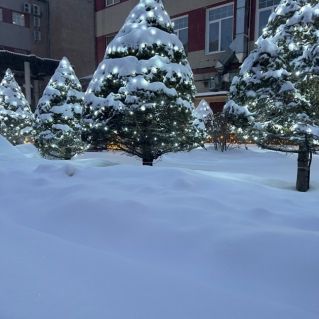 Хоровод новогодних красавиц