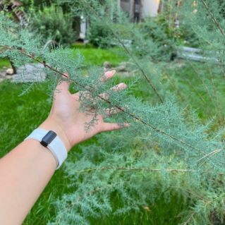 В объятиях природы