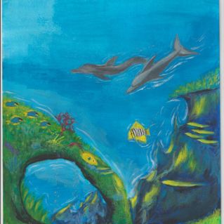 Подводный мир