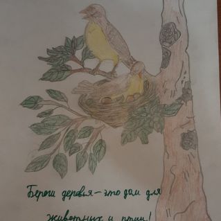 "Берегите деревья- это дом для птиц"
