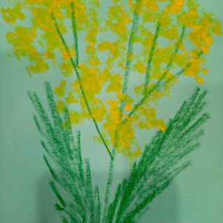 Веточка мимозы
