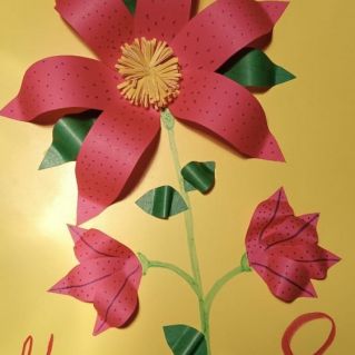 Нежная лилия