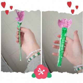 Тюльпан маме любимой