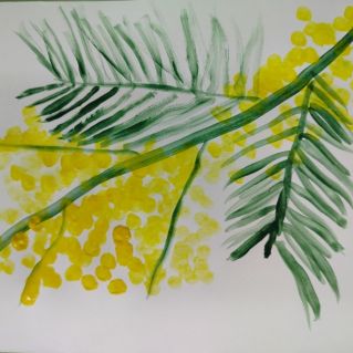 "Веточка мимозы"