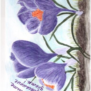 Сохраняйте весенние первые цветы!