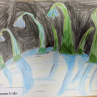 Первый весенний цветок