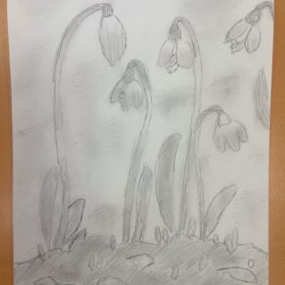 Первый цветок